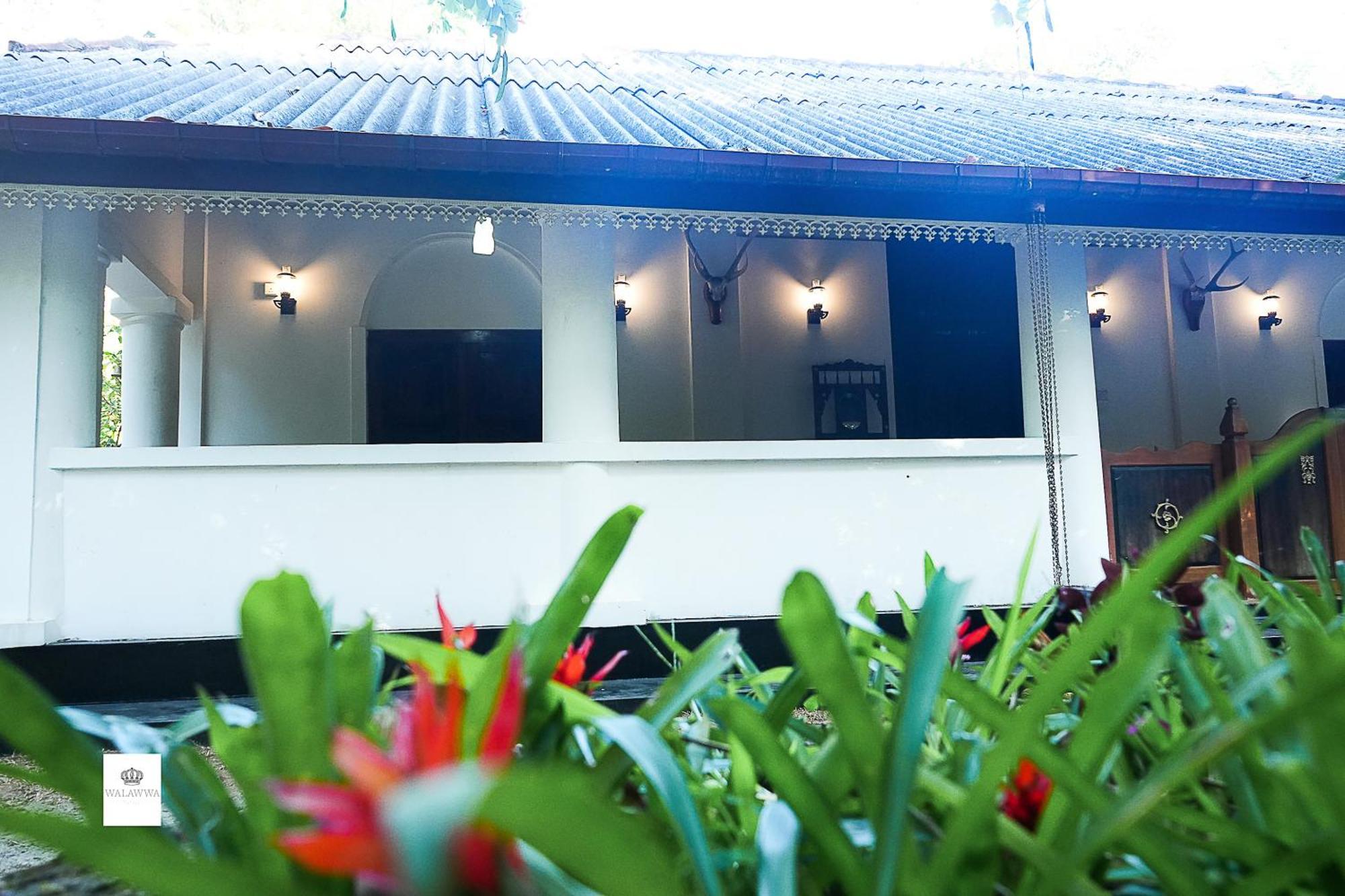 Walawwa Guest House Matale Zewnętrze zdjęcie